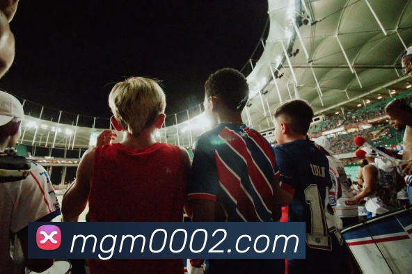 平台使命图